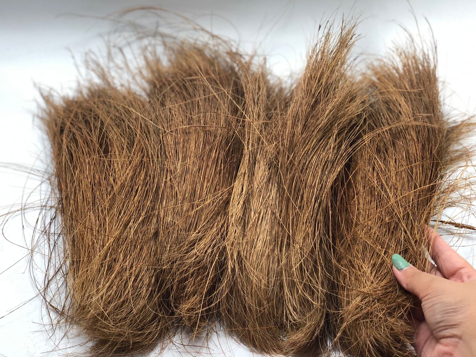 Coco Bristle